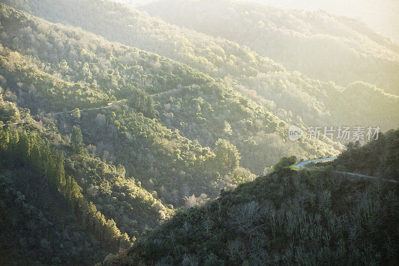 Ribeira Sacra山区森林景观，加利西亚，西班牙。